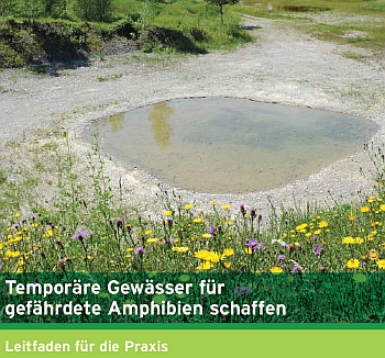 Leitfaden: Temporäre Gewässer für gefährdete Amphibien schaffen! Pro Natura (Schweiz)
