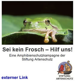 Stiftung Artenschutz - Sei kein Frosch